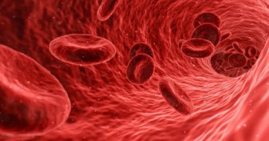 Estos son los alimentos con poderes anticoagulantes para la sangre