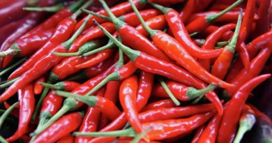 Conoce la razón por la que a los mexicanos les gusta el chile