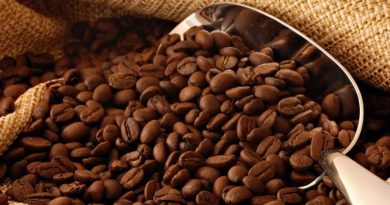 EMCOEX Lara exporta primeras 140 toneladas de café del 2022
