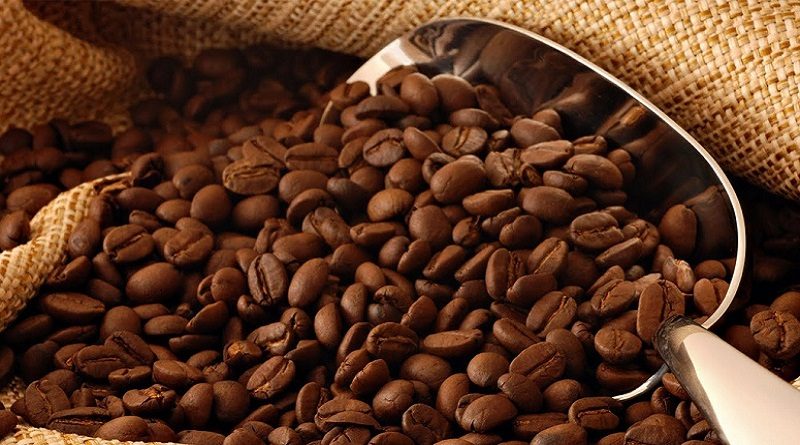 EMCOEX Lara exporta primeras 140 toneladas de café del 2022