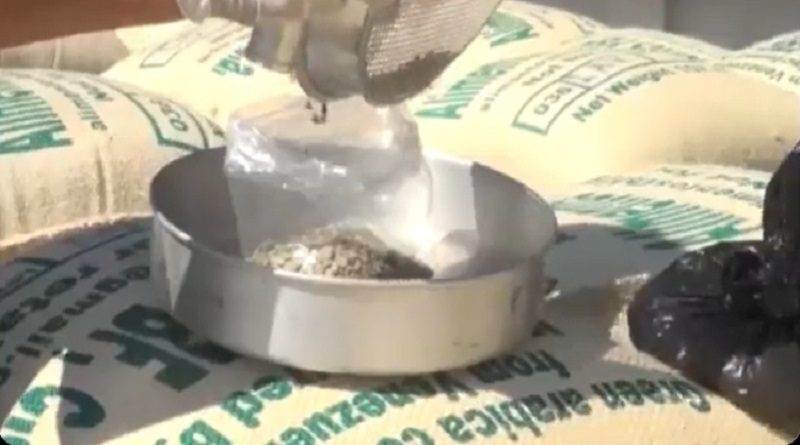 Un total de 70 TON de café verde se exportaron desde Lara a Estados Unidos