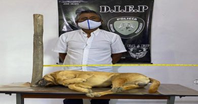 Ministerio Público imputa a un hombre por maltrato animal