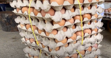Agropecuaria Don José de Barinas tiene la meta de producir 200 cajas de huevos al día