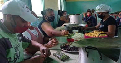 Realizan 36 mil hallacas en municipio Sucre de Aragua