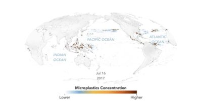 Conoce el mapa animado que muestra el flujo del plástico oceánico