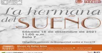 Inauguran La Hermana del Sueño en el Museo de Bellas Artes