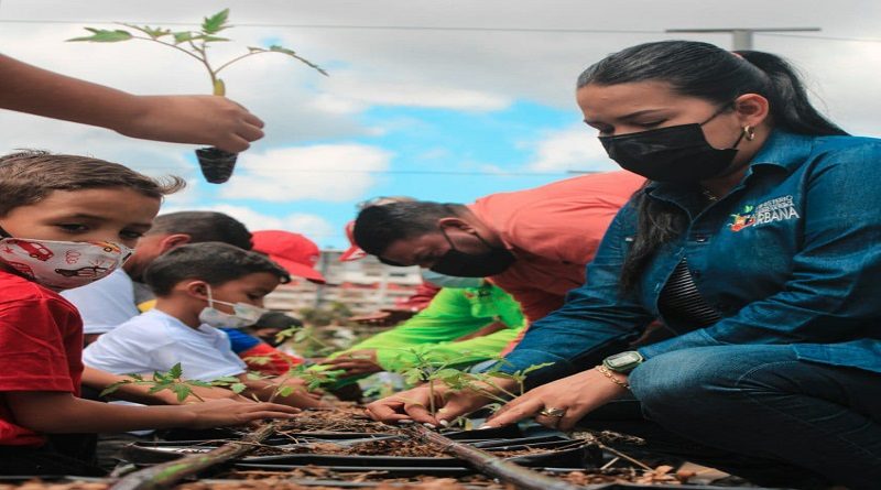 Inauguran terraza productiva con siembra de 4 mil plantas de tomate