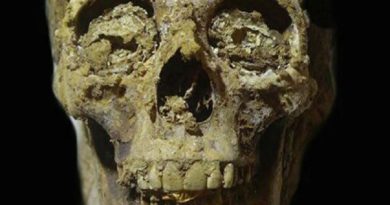 Misión arqueológica española halla en Egipto restos humanos con lenguas de oro