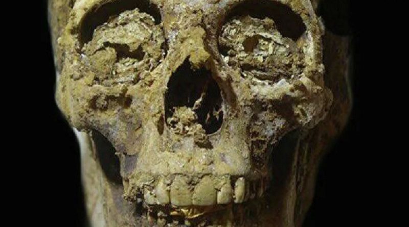 Misión arqueológica española halla en Egipto restos humanos con lenguas de oro