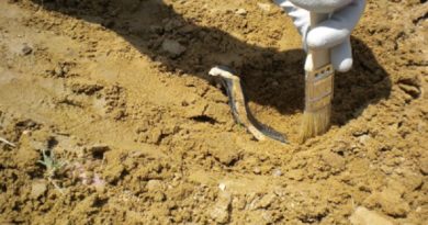 Arqueólogos encuentran la tumba de bebé más antigua de Europa