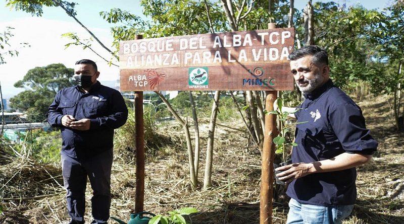 Bosque del ALBA siembra 50 árboles en Waraira Repano