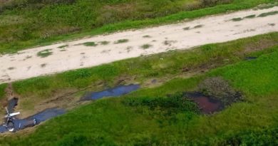 FANB neutraliza avión proveniente de Colombia operada por los grupos de TANCOL