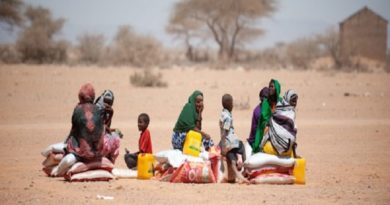 Intensa sequía provoca el desplazamiento de unas 100 mil personas en Somalía