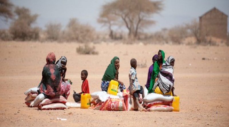 Intensa sequía provoca el desplazamiento de unas 100 mil personas en Somalía
