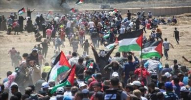 Palestina insta a la ONU detener ataques terroristas israelíes