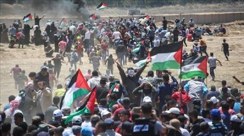 Palestina insta a la ONU detener ataques terroristas israelíes