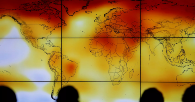 El 2021 fue uno de los 7 años más cálidos registrados en el planeta