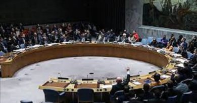 Cinco nuevos Estados se unen al Consejo de Seguridad de la ONU