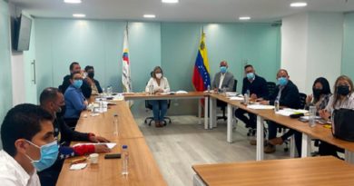 Ministra Dheliz Álvarez: en el 2022 trabajaremos por el reimpulso del comercio nacional