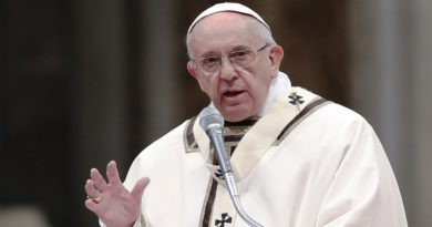El embajador Alexander Avdeev declaró a los medios de comunicación rusos que "el Papa quiso preguntar personalmente por la situación en Donbass y Ucrania"