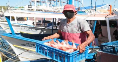 FAO y Venezuela prevén implementar programa para potenciar producción pesquera y acuícola
