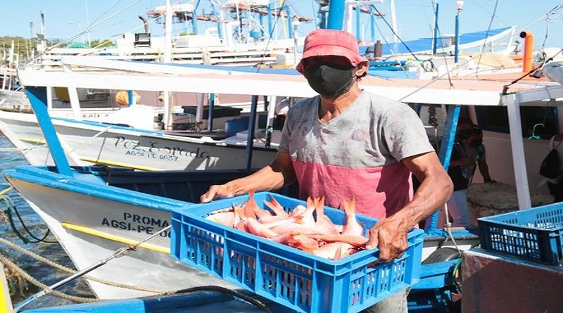 FAO y Venezuela prevén implementar programa para potenciar producción pesquera y acuícola