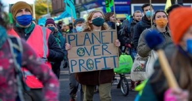 Ambientalistas británicos piden a Johnson compromisos serios en 2022