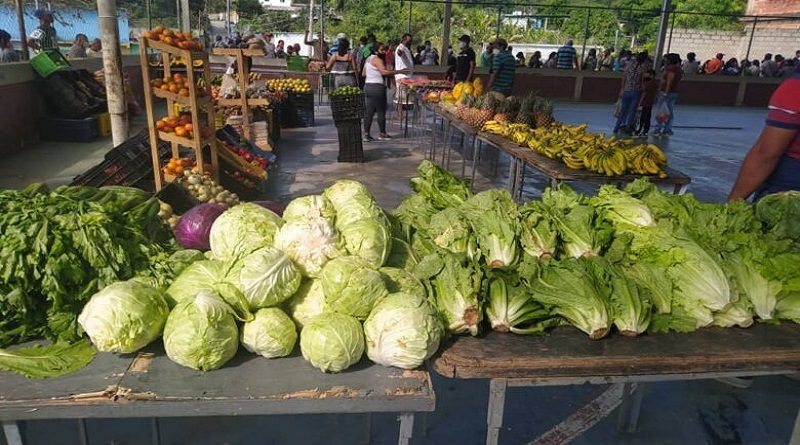 Feria del Campo Soberano benefició a más de 3 mil familias en Puerto Cabello