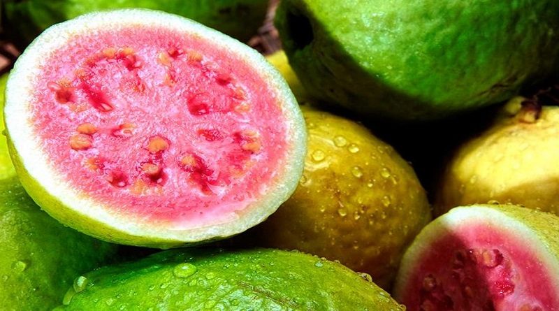 La guayaba aporta siete veces más vitamina C que la naranja y el limón