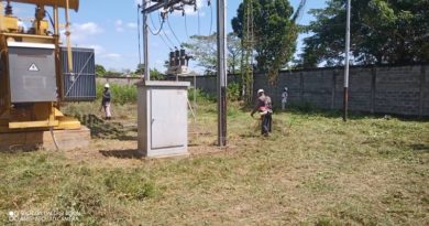 Ejecutan mantenimiento en redes y subestaciones eléctricas de Barinas