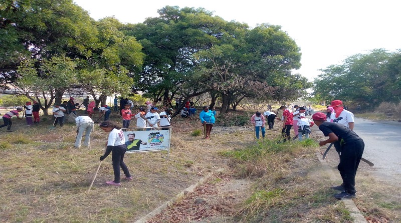 Juramentadas en Carabobo Brigadas juveniles voluntarias Contra el Cambio Climático