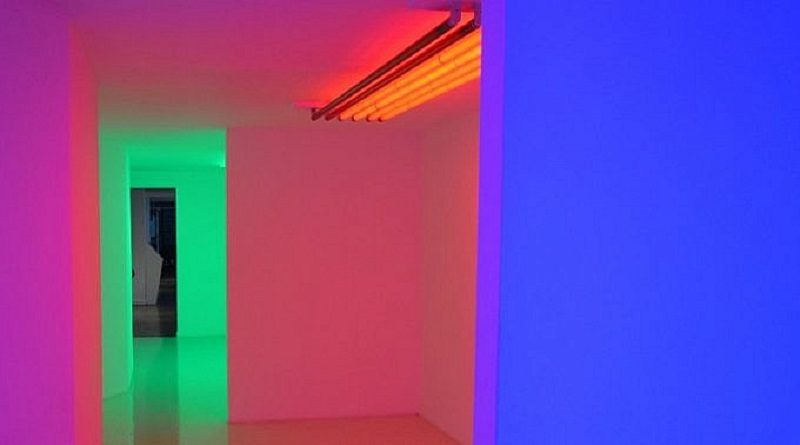 Fundación Museos Nacionales inició el 2022 con una variada grilla expositiva
