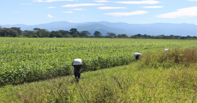 Gobernador Luna: Monagas diversifica sus fuentes de riqueza y se convertirá en epicentro agroindustrial además de zona petrolera