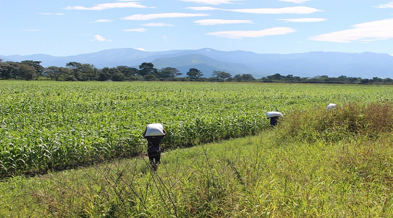 Gobernador Luna: Monagas diversifica sus fuentes de riqueza y se convertirá en epicentro agroindustrial además de zona petrolera