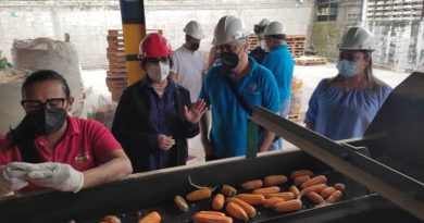 Sehiveca procesó más de 853 Mil toneladas de semilla nacional en 2021