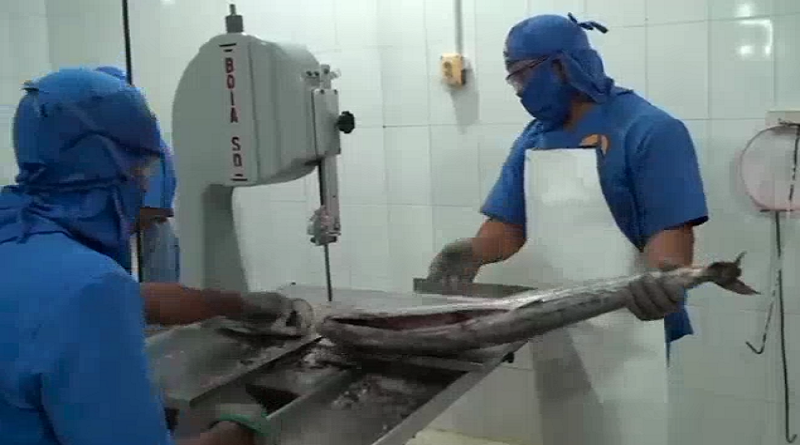 Sucre garantiza procesamiento de combos de pescado dirigido a los CLAP