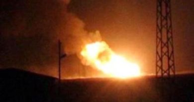 La empresa Petroleum Pipeline Corporation (BOTAS, siglas en turco) anunció que se desconocen los motivos de la explosión | Foto: Hispan
