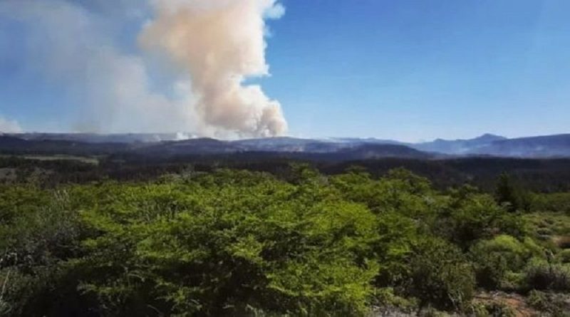 Masivos incendios forestales afectan a Chile, Argentina y Uruguay