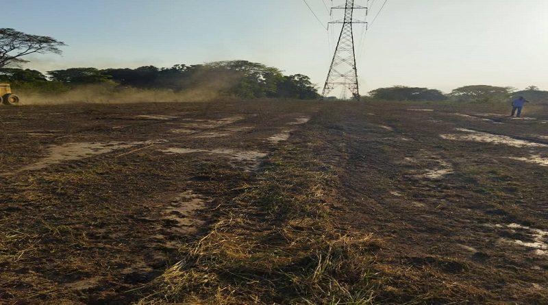 Ejecutan Plan Pica, Poda y Tala en corredor eléctrico en Portuguesa
