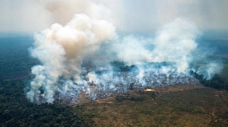 Más de 86.000 hectáreas de bosques se han visto afectadas por incendios en Colombia