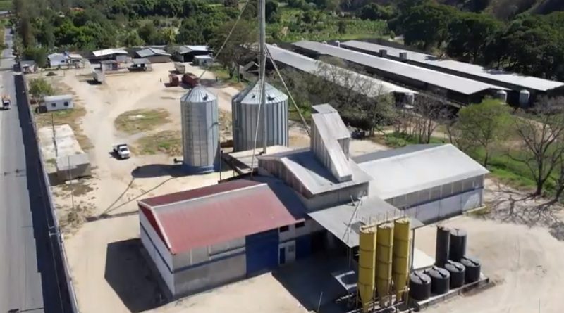 Granja "Los Molinos" de Aragua tiene una capacidad de 4.200 toneladas de alimento