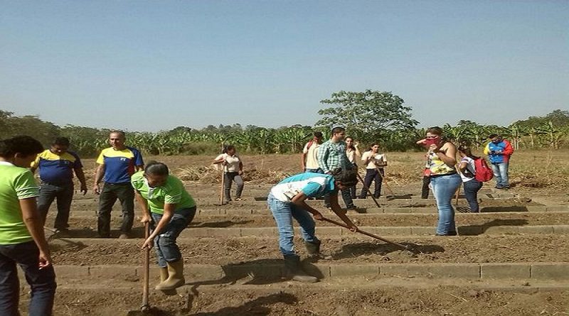 Productores y autoridades potenciaran la agricultura de Barinas