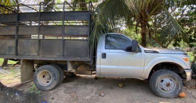 FANB destruye camión-bomba de terroristas narcotraficantes colombianos en frontera venezolana