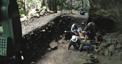 Determinan que 'Homo sapiens' llegó a Excavaciones determinan que grupo de 'Homo sapiens' llegó a Europa hace miles de años