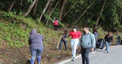 Ejecutan labores de mantenimiento en vías de la Colonia Tovar