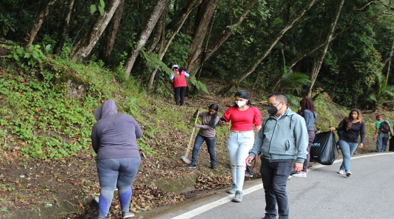 Ejecutan labores de mantenimiento en vías de la Colonia Tovar