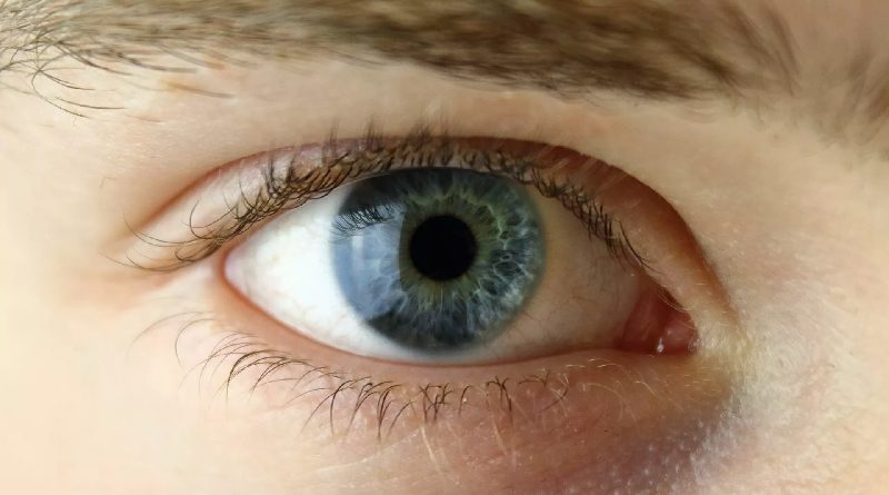 A partir de esta edad deberías hacerte un chequeo de la vista anualmente