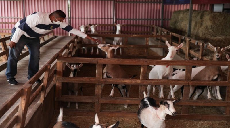 Productores de Miranda avanzan en aportes a la Ley de Fomento y Desarrollo Ovino y Caprina