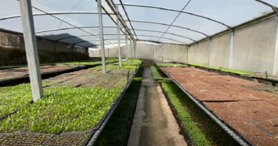 Casa de Cultivo en la Guaira produce diversidad de rubros en 3 hectáreas de terreno