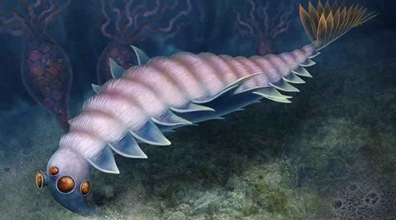 Identifican segundo ejemplar de animal extinto más raros del mundo